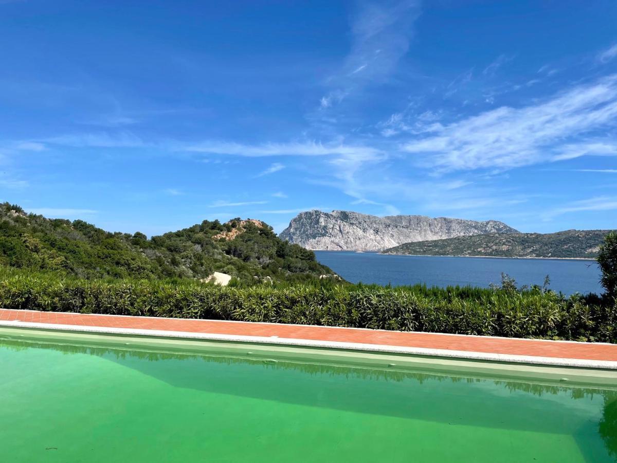 San Teodoro Punta Est Delizioso Monolocale Vista Mare公寓 外观 照片