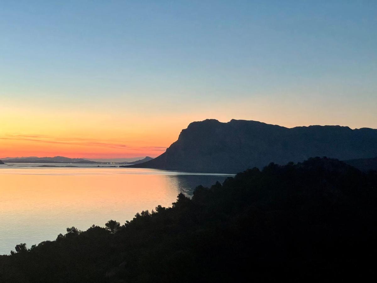 San Teodoro Punta Est Delizioso Monolocale Vista Mare公寓 外观 照片